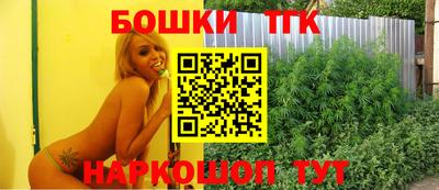 спиды Гатчина