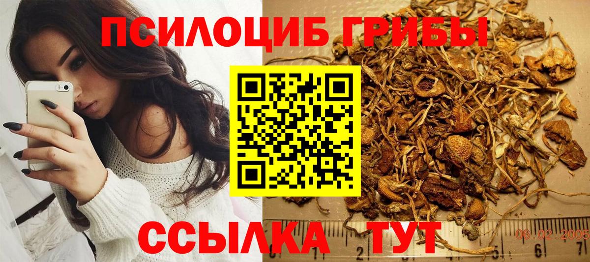 Псилоцибиновые грибы прущие грибы Всеволожск