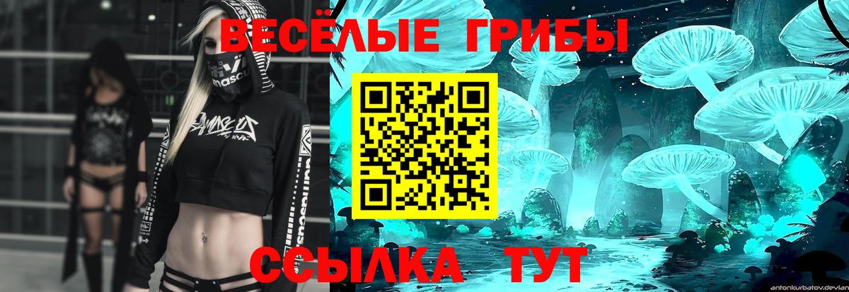 Всеволожск  Галлюциногенные грибы MAGIC MUSHROOMS  Вход с VPN  Галлюциногенные грибы Psilocybine cubensis 