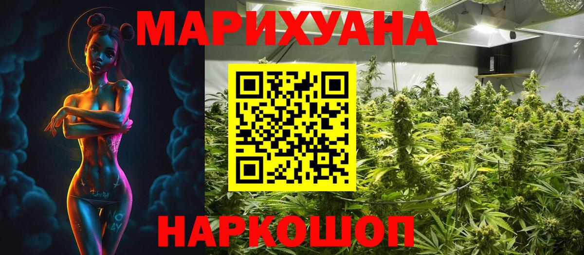 Бошки Шишки тримм  Вход с VPN  Марихуана Bruce Banner  Марихуана SATIVA & INDICA  Всеволожск 